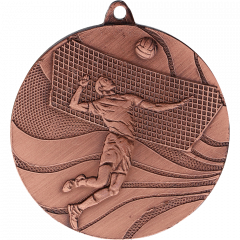 medal brązowy- siatkówka
