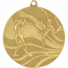 Medal złoty- kick boxing - medal stalowy