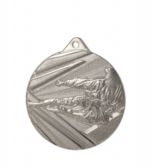 Medal srebrny karate