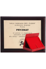 Dyplom z tworzywa sztucznego z laminatem grawerowany + etui 250x200 mm